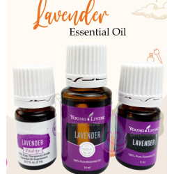 15ml Young Living Lavender Vitality Essential Oil Young Living Lavender Essential Oil Skin Care Sleep